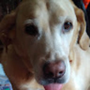 Meet your Posher, Hailey